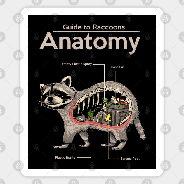 Anatomy of a Raccoon Magnet by Vincent Trinidad Art